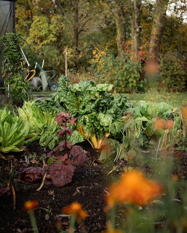 Herbst